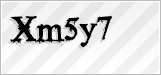 CAPTCHA security code