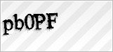CAPTCHA security code