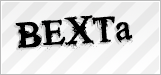 CAPTCHA security code