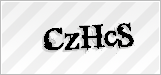 CAPTCHA security code