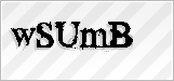 CAPTCHA security code
