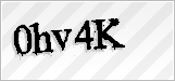 CAPTCHA security code