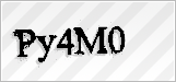 CAPTCHA security code