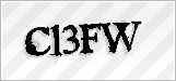 CAPTCHA security code