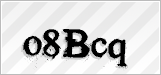 CAPTCHA security code