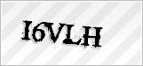 CAPTCHA security code