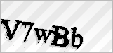 CAPTCHA security code