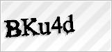 CAPTCHA security code