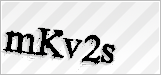 CAPTCHA security code
