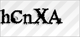 CAPTCHA security code