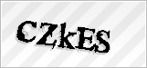 CAPTCHA security code