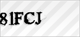 CAPTCHA security code