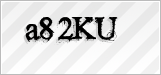 CAPTCHA security code