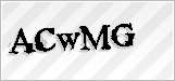 CAPTCHA security code