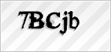 CAPTCHA security code