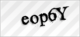 CAPTCHA security code
