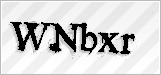 CAPTCHA security code