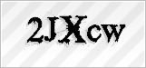CAPTCHA security code