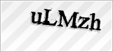 CAPTCHA security code