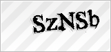 CAPTCHA security code