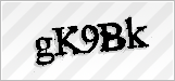 CAPTCHA security code