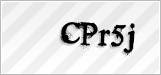 CAPTCHA security code