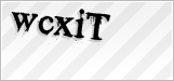 CAPTCHA security code