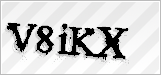 CAPTCHA security code