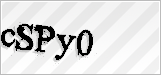 CAPTCHA security code