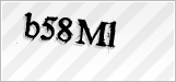 CAPTCHA security code