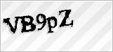 CAPTCHA security code