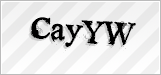 CAPTCHA security code