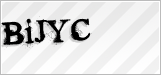 CAPTCHA security code