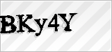 CAPTCHA security code