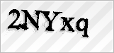 CAPTCHA security code