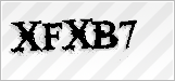CAPTCHA security code