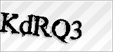 CAPTCHA security code