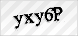 CAPTCHA security code