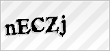 CAPTCHA security code