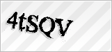 CAPTCHA security code