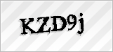 CAPTCHA security code