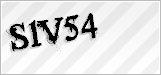CAPTCHA security code