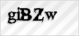 CAPTCHA security code
