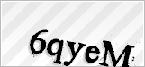 CAPTCHA security code