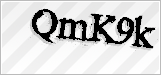 CAPTCHA security code