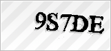 CAPTCHA security code