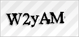 CAPTCHA security code