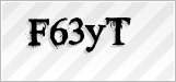 CAPTCHA security code