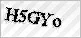 CAPTCHA security code