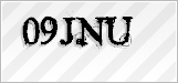 CAPTCHA security code